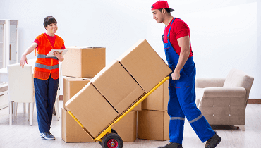 removal companies chelmsford